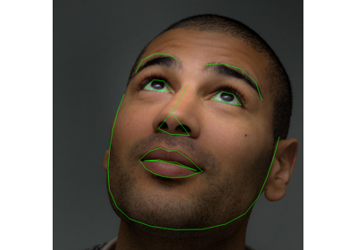 _images/landmarked_face21.png